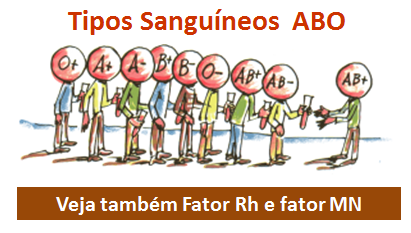 Tipos Sanguíneos