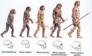 Biologia Enem - Evolução