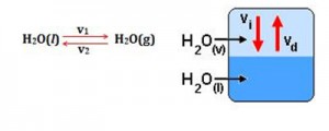 Química Fuvest Química Fuvest