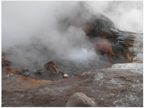 Reino Monera Reino Monera