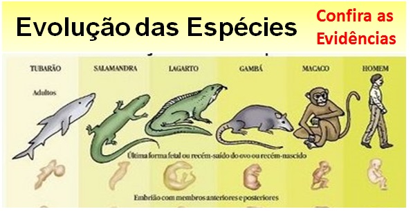 evolução das espécies 600 x 320
