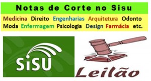 notas-corte-sisu