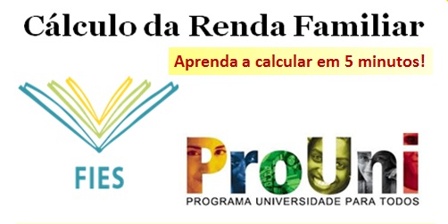 cálculo da renda familiar per capita