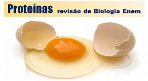 Proteínas
