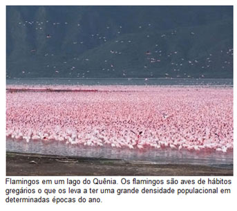 Equilíbrio dos ecossistemas: Revise ecologia de populações para o Enem