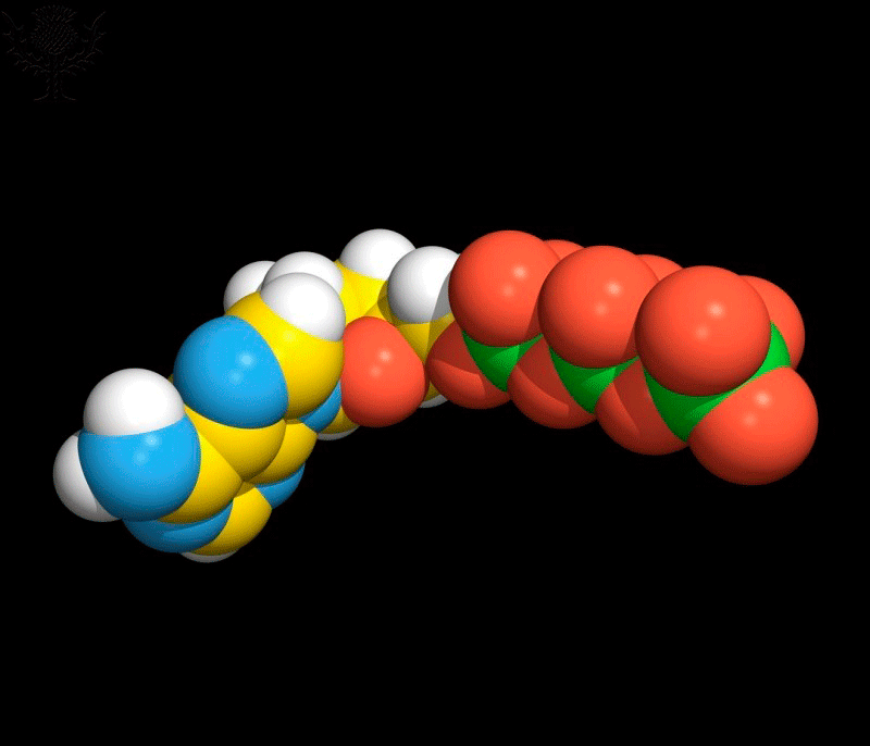 BIO1