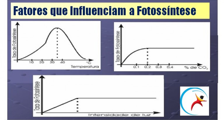fotossíntese Archives Blog do Enem