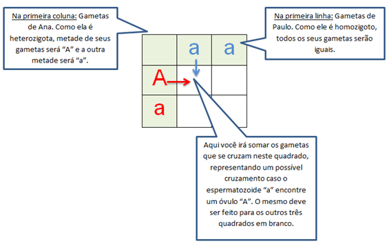 Intensivão de Biologia: Revisão 6 de Biologia Enem