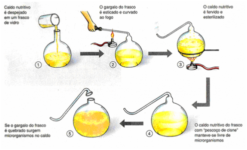 Biologia - Origens da Vida