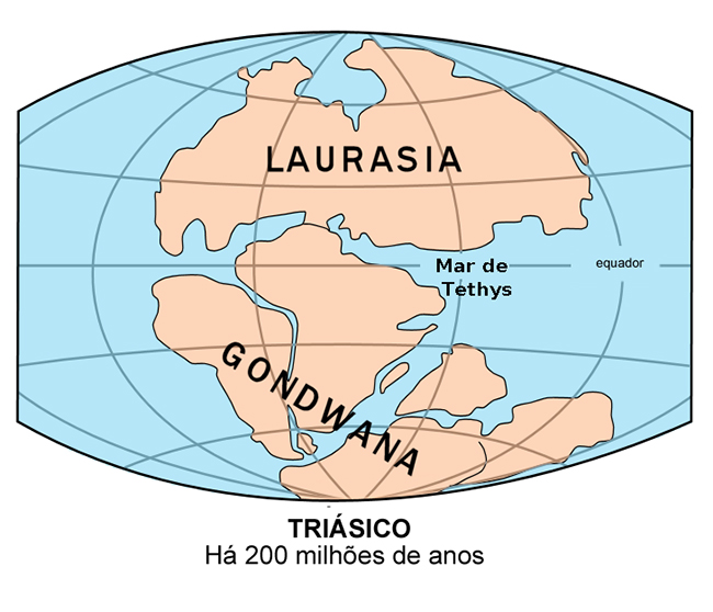 Geografia - Continentes e distribuição de terra