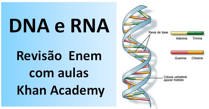 DNA e RNA