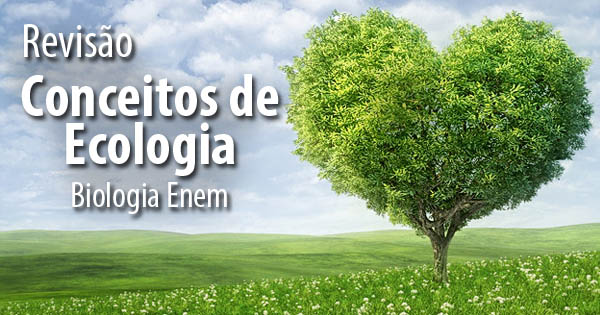 Os Conceitos de Ecologia - Biologia Enem