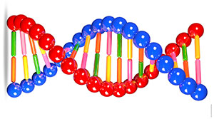 As Leis de Mendel estão na origem dos estudos da Genética