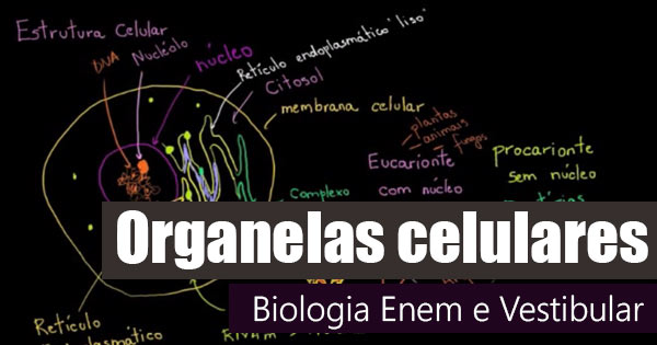 organelas celulares