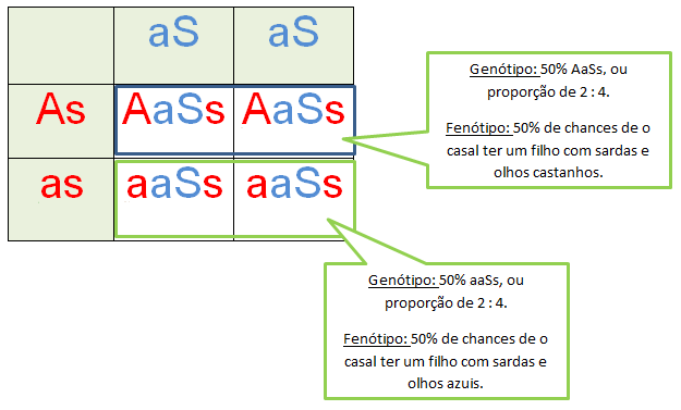 Biologia Enem - problemas de genética com o quadro de Punnett