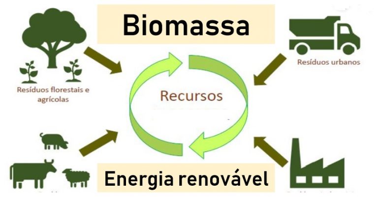 Biomassa Archives - Blog Do Enem