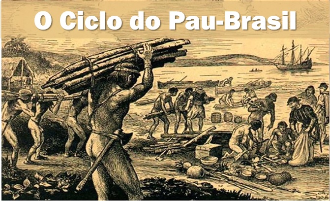 O Ciclo do Pau-Brasil