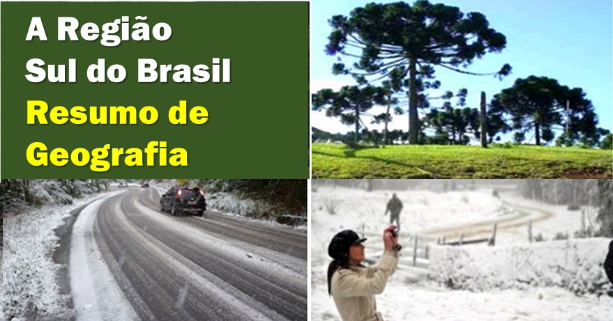 A Região Sul do Brasil: veja a Imigração e a Industrialização