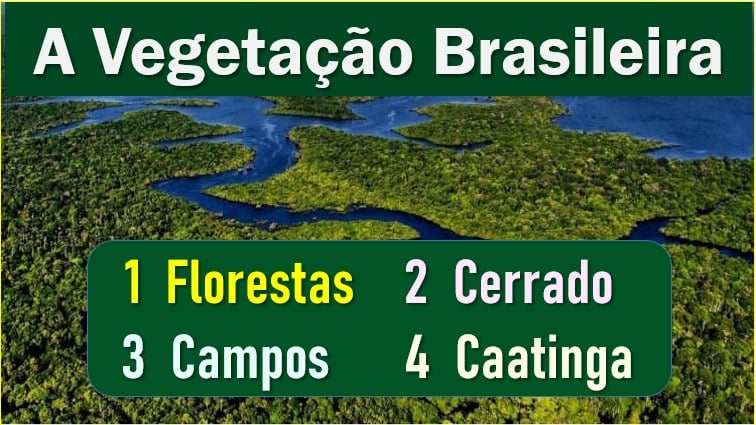 TIPOS DE VEGETAÇÃO NO BRASIL – GEO MODERNA