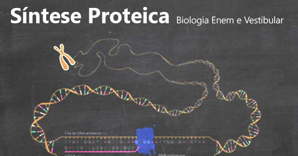 SOLUTION: Tradução e síntese proteica - Studypool