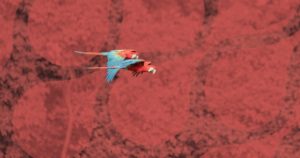 4 pontos extremos do brasil