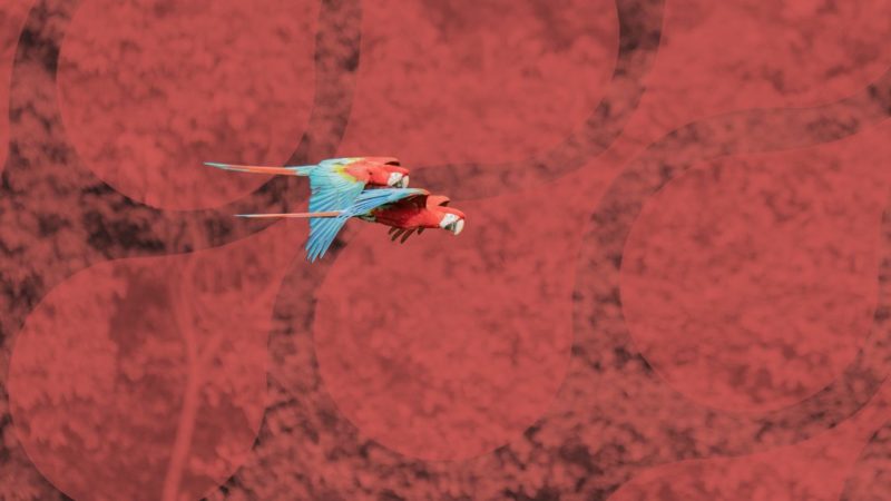 Os 4 pontos extremos do Brasil e como eles se dividem