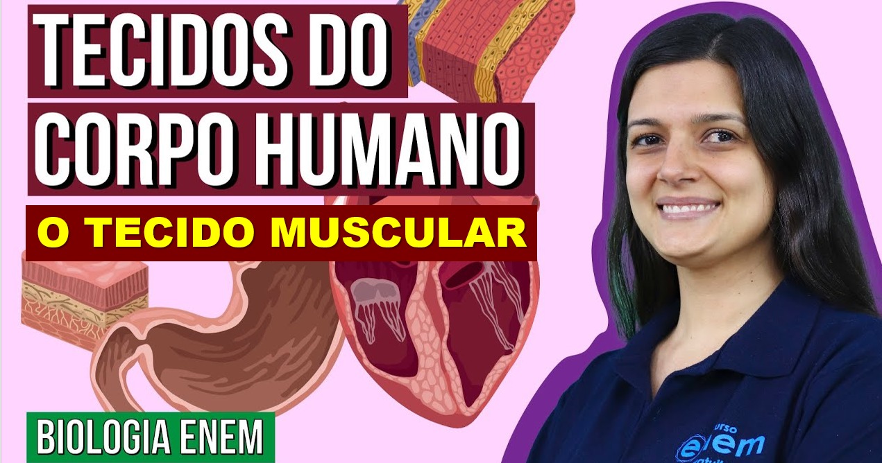 Tecido Muscular: resumo de biologia para arrasar no Enem