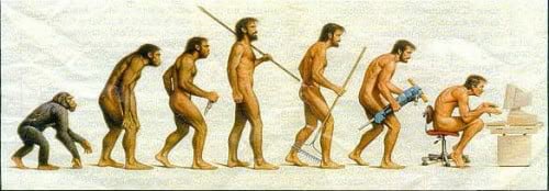 evolução humana
