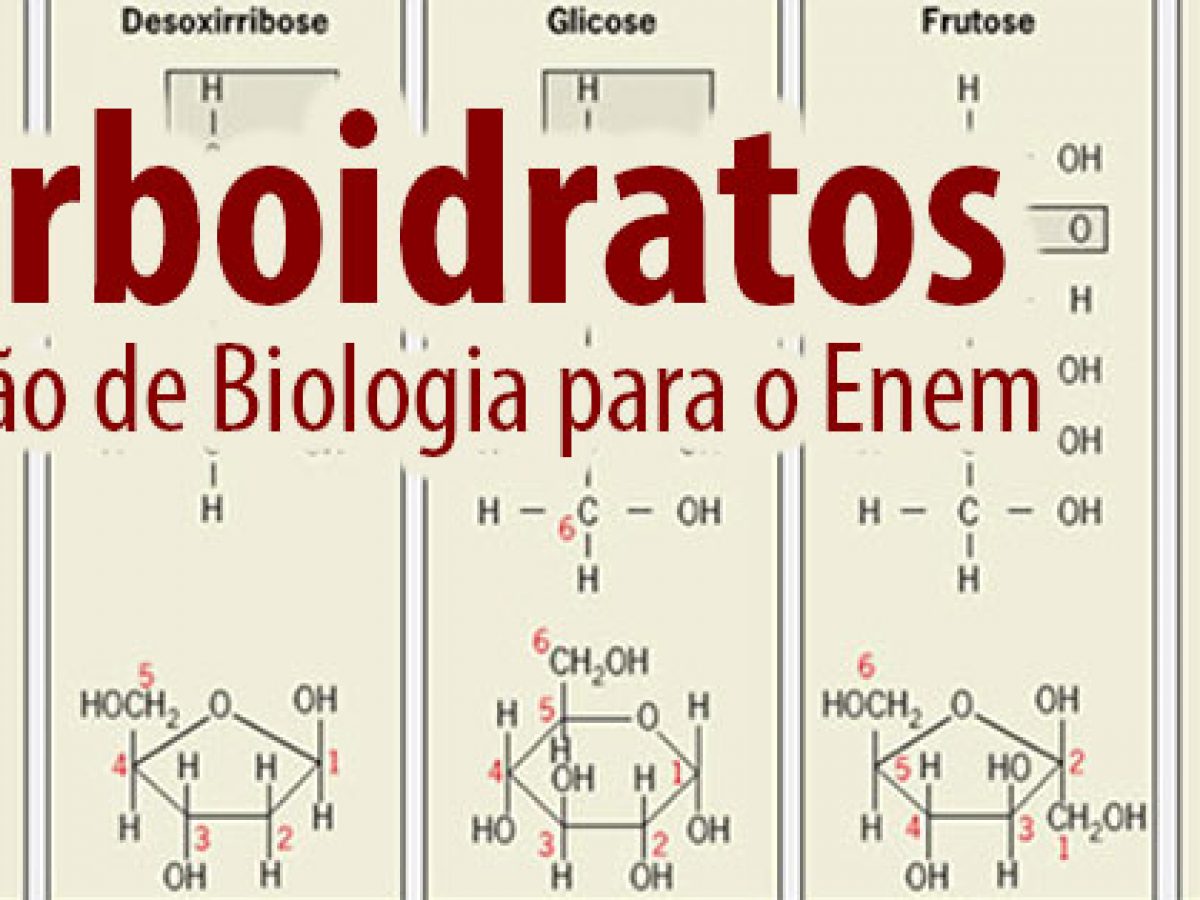 Carboidratos açúcares moléculas carbono slideserve em Carboidratos açúcares moléculas carbono slideserve em