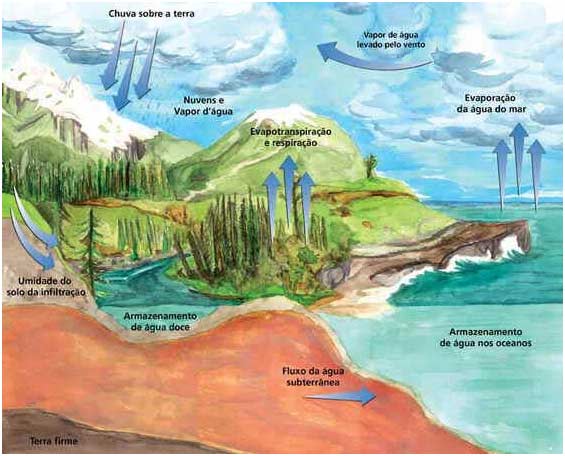 O Ciclo da Água - Revisão de Biologia e Geografia no Enem