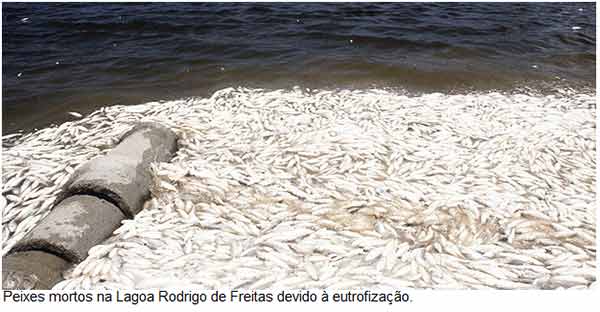 Peixes mortos pela eutrofização - Biologia Enem