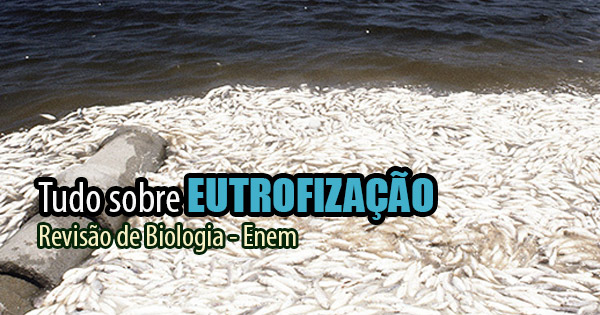 Resumo de eutrofização: estude para o ENEM