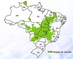 Biomas do Campos Cerrados