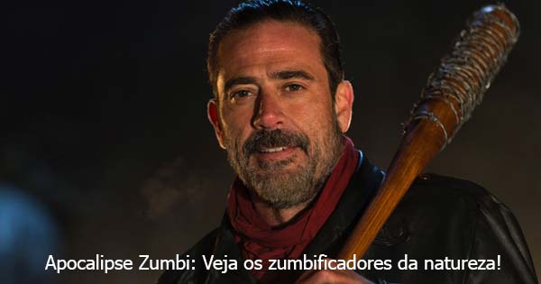 zumbi