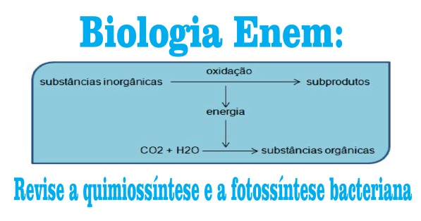 Energia molecular