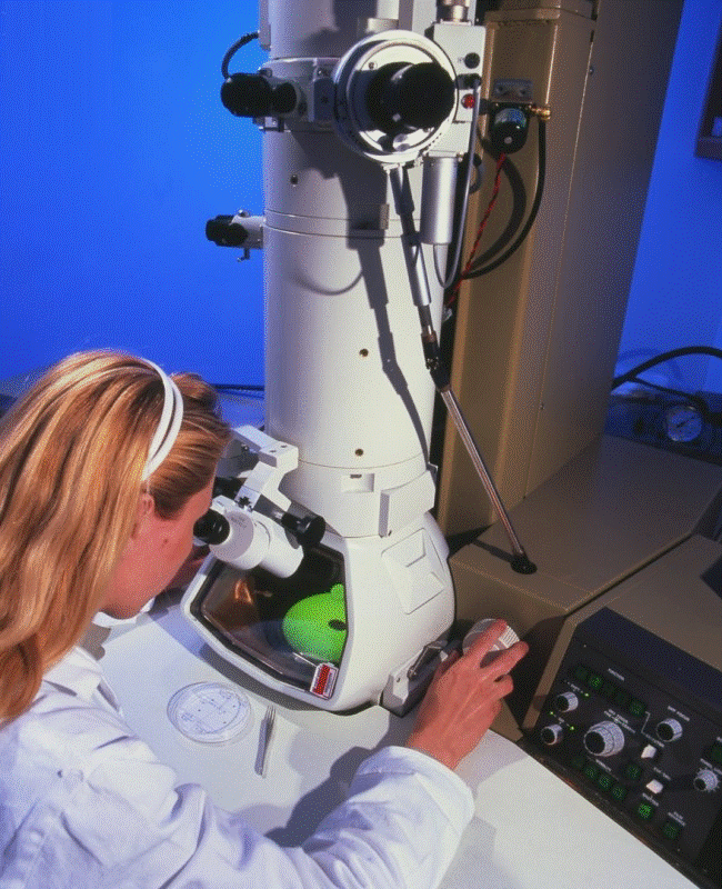 Microscópio eletrônico - Tipos de microscópio