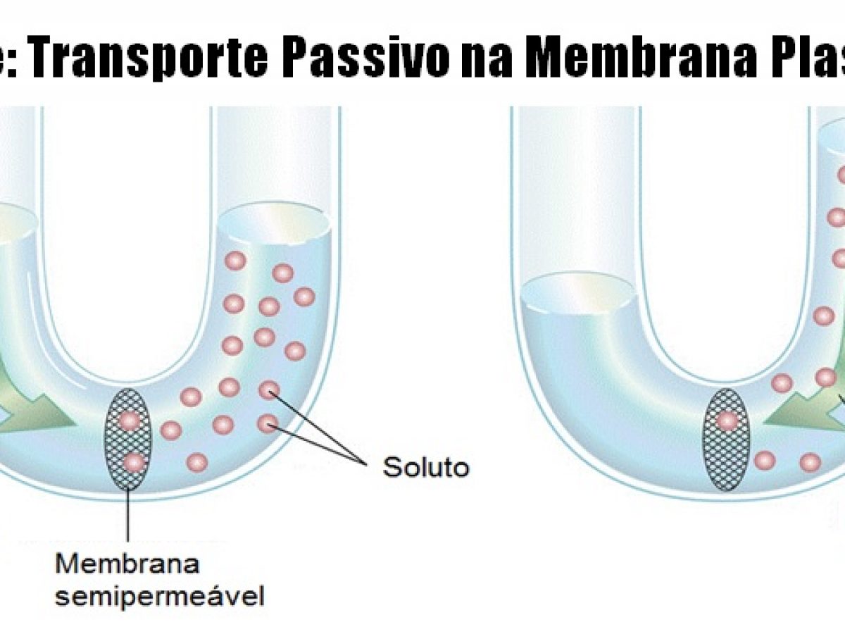 Diferencia activo pasivo cual