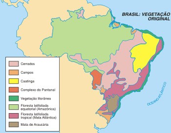 os tipos de vegetação brasileira