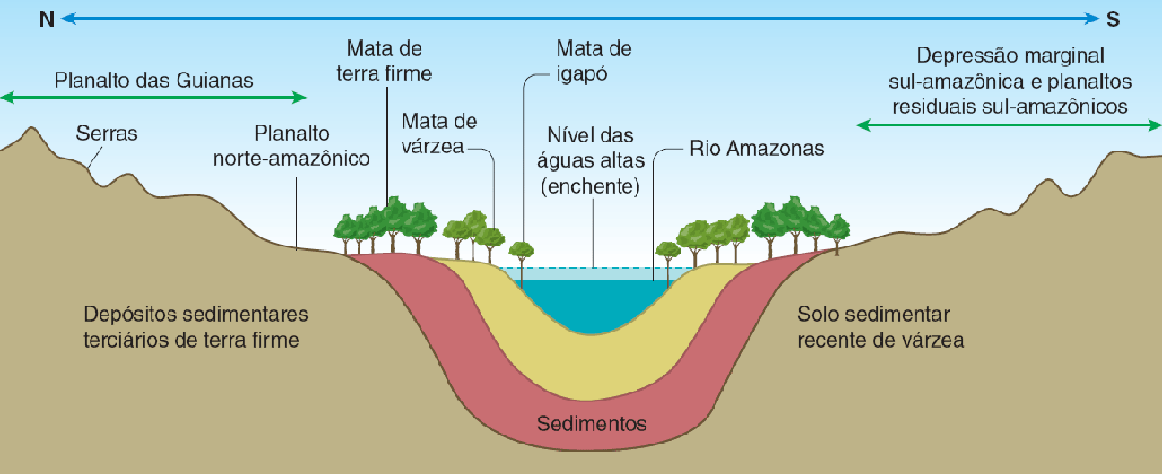 Tipos de vegetação do Brasil - Estudo Prático