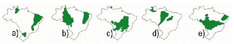 vegetação brasileira
