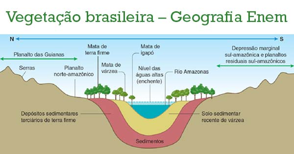 Tipos de vegetação. Os principais tipos de vegetação do Brasil