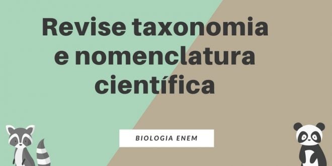 taxonomia