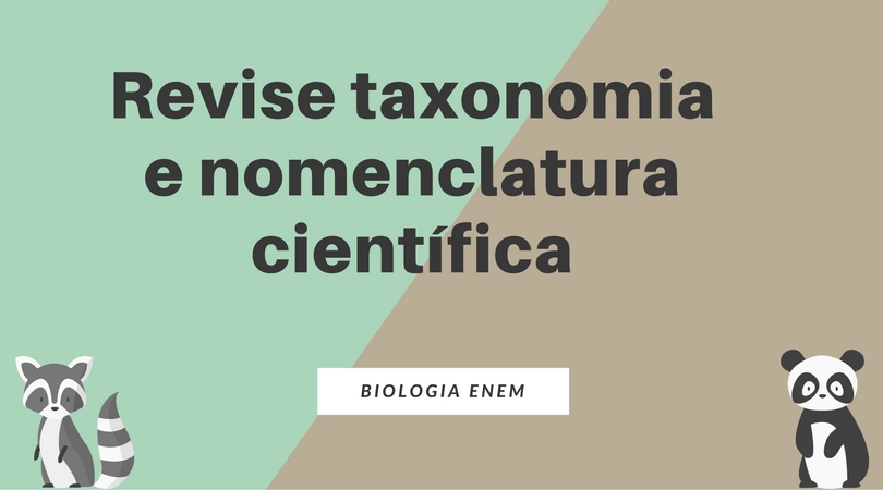 Taxonomias: associar termos relacionados (7)