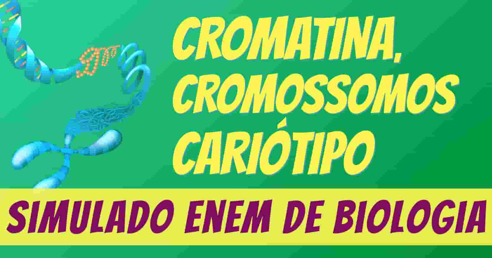 simulado de cromatina, cromossomos e cariótipo