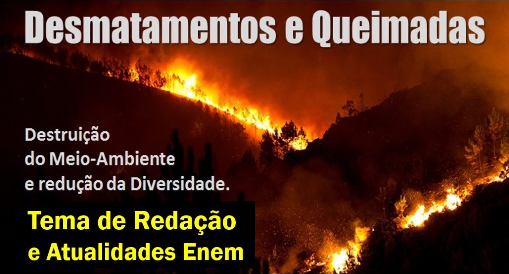 Desmatamentos e Queimadas, a destruição da biodiversidade terrestre