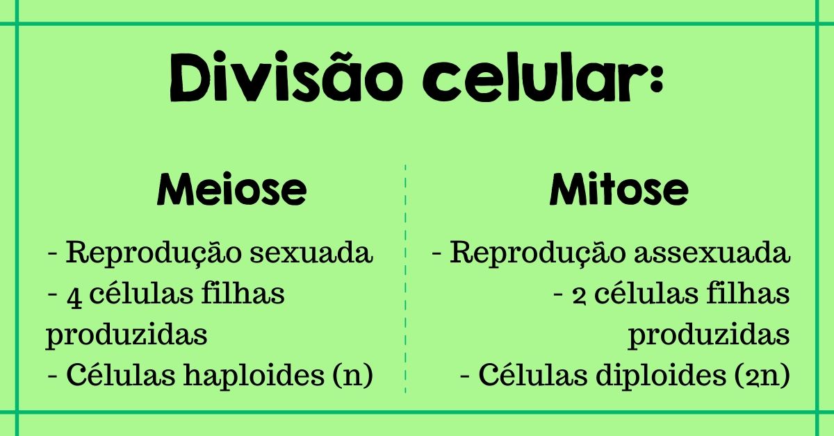 Divisão celular - mitose e meiose