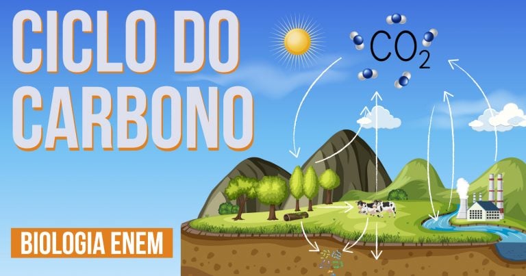 aula sobre ciclo do carbono