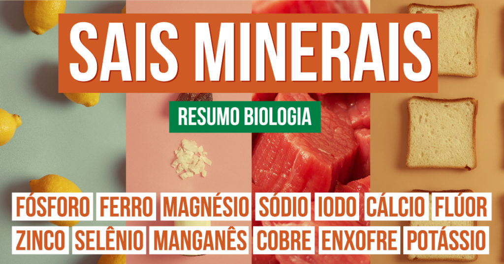 O que são sais minerais e quais são as suas funções - Blog do Enem