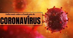 o que é coronavirus aula