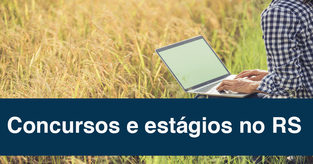 No RS, confira 6 concursos e vagas de estágio com inscrições abertas